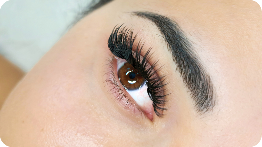 mega volume lashes